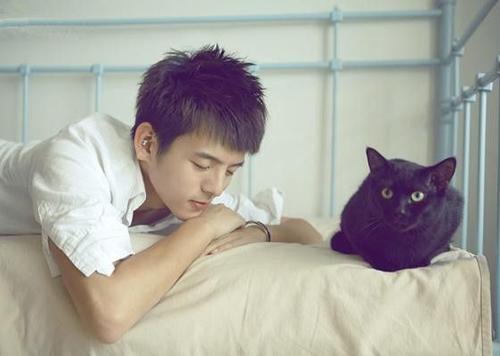 猫咪与人的温暖互动图片