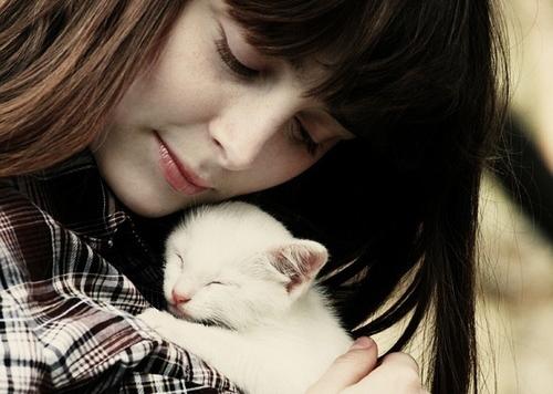 猫咪与人的温暖互动图片