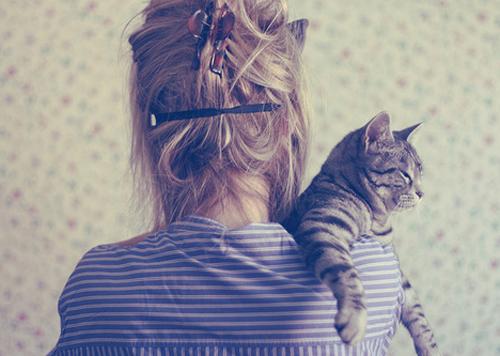 猫咪与人的温暖互动图片