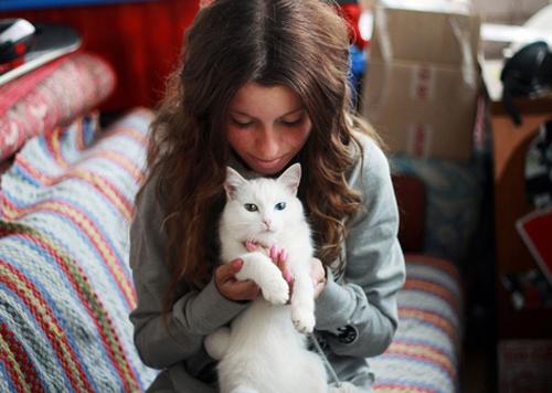 猫咪与人的温暖互动图片