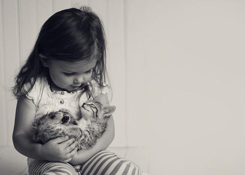 猫咪与人的温暖互动图片