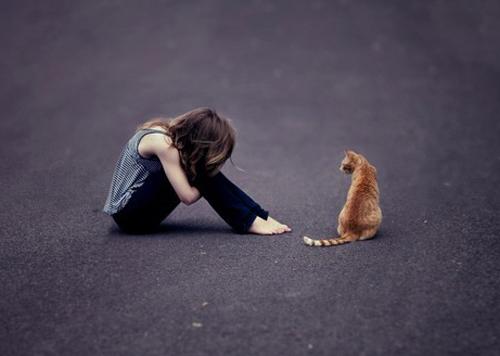 猫咪与人的温暖互动图片