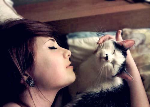 猫咪与人的温暖互动图片