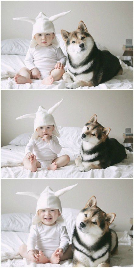 可爱宝宝和狗狗图片