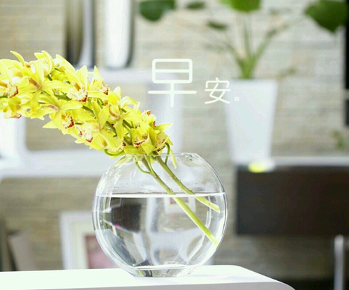 早安图片大全带文字