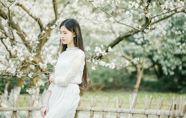 樱花树下小清新女生唯美图片