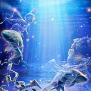 十二星座动漫卡通唯美梦幻头像大全