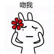 兔斯基吻我表情包带字卡通头像