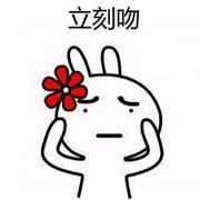 兔斯基吻我表情包带字卡通头像
