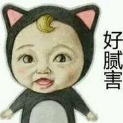 逗比卡通搞笑表情包头像图片集