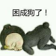 逗比卡通搞笑表情包头像图片集