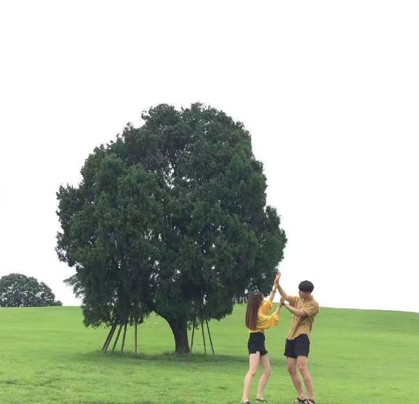 爱情情侣图片美图