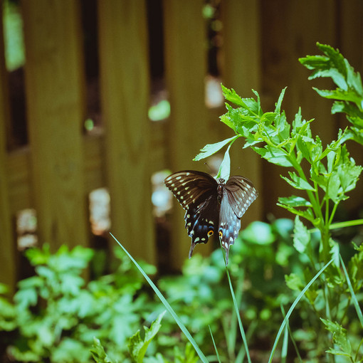 好看的清新图片唯美意境图片
