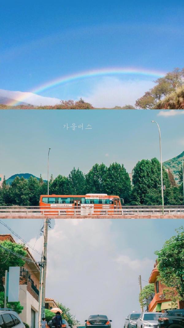 唯美图片3.jpg