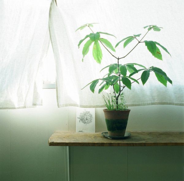 好看的清新图片唯美意境图片