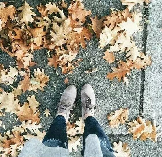 好看的清新图片唯美意境图片