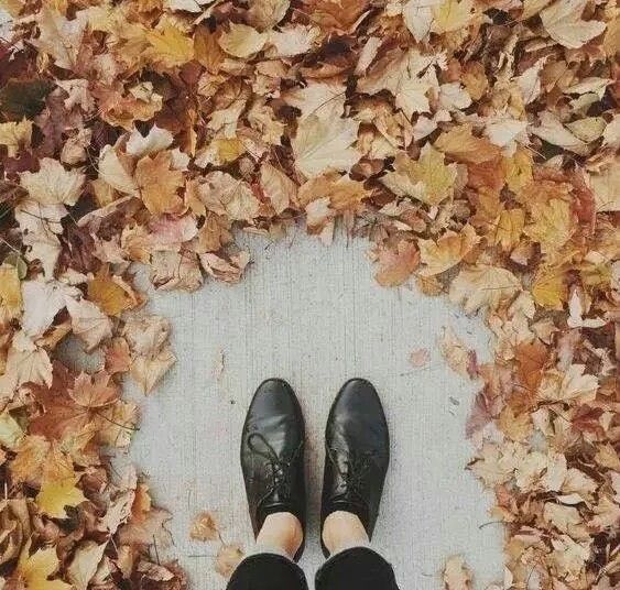 好看的清新图片唯美意境图片