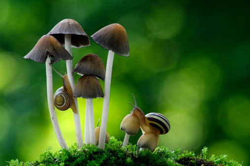 好看的清新图片唯美意境图片
