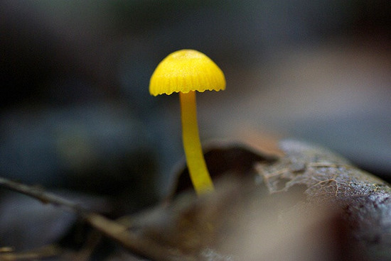 好看的清新图片唯美意境图片