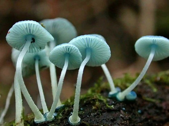 好看的清新图片唯美意境图片