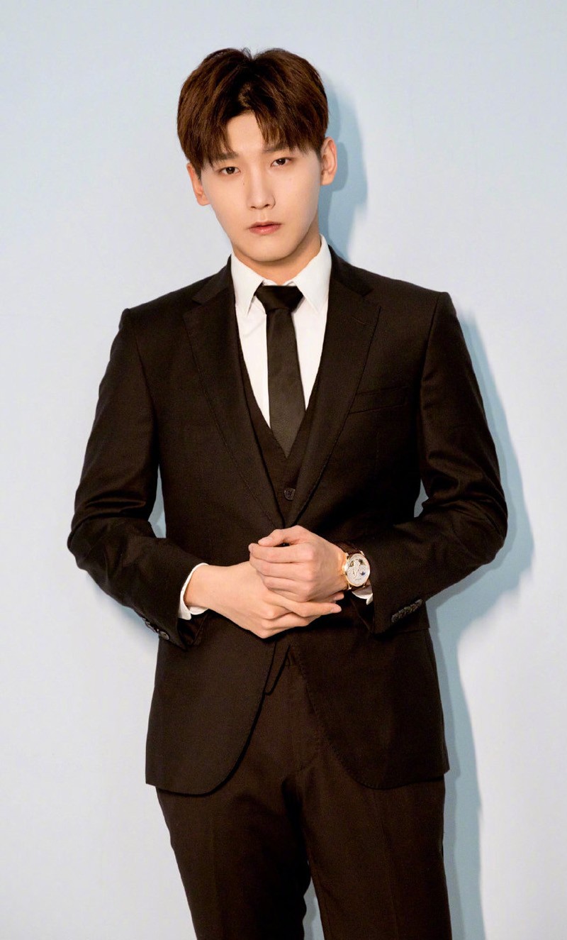 邢昭林绅士帅气活动照图片