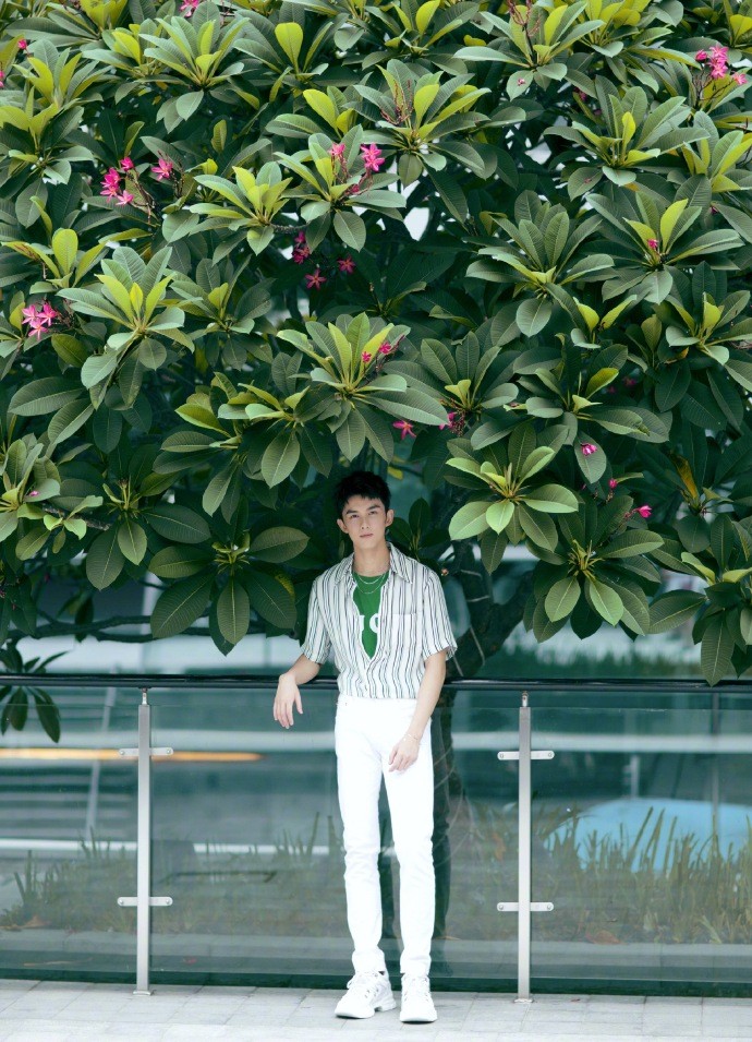 吴磊图片 吴磊夏日休闲帅气