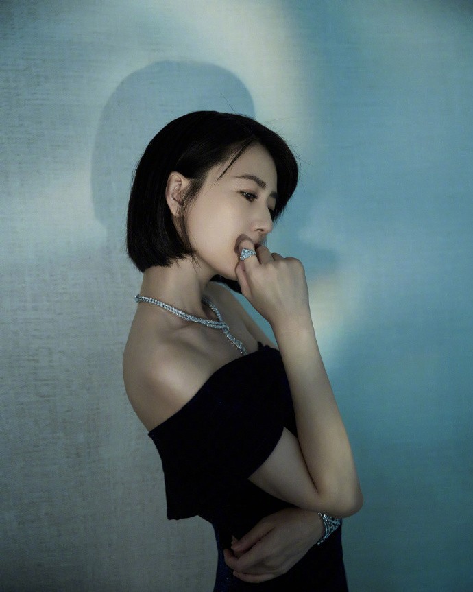 高圆圆图片 高圆圆穿黑色抹胸礼服图片