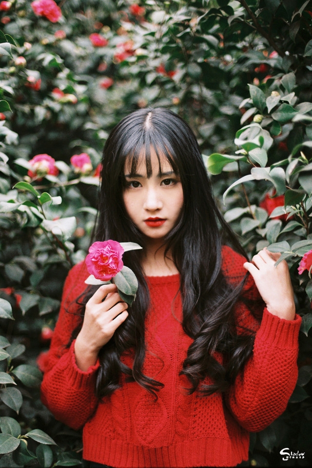 山茶花美女复古红唇紧身牛仔裤艺术