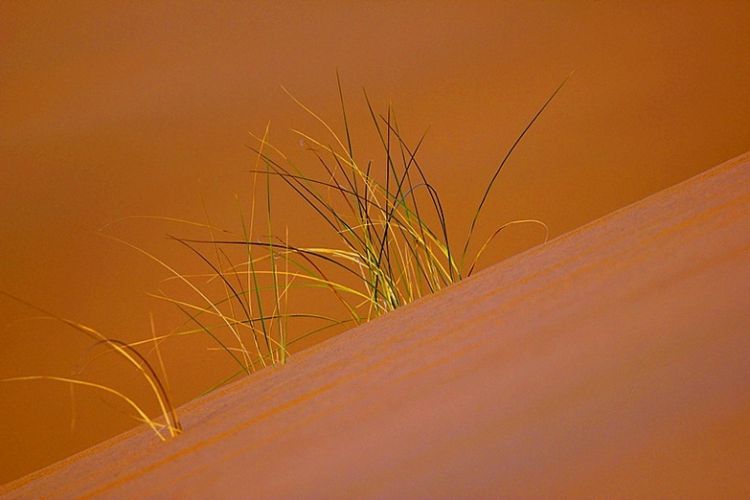 巴丹吉林沙漠自然风景图片