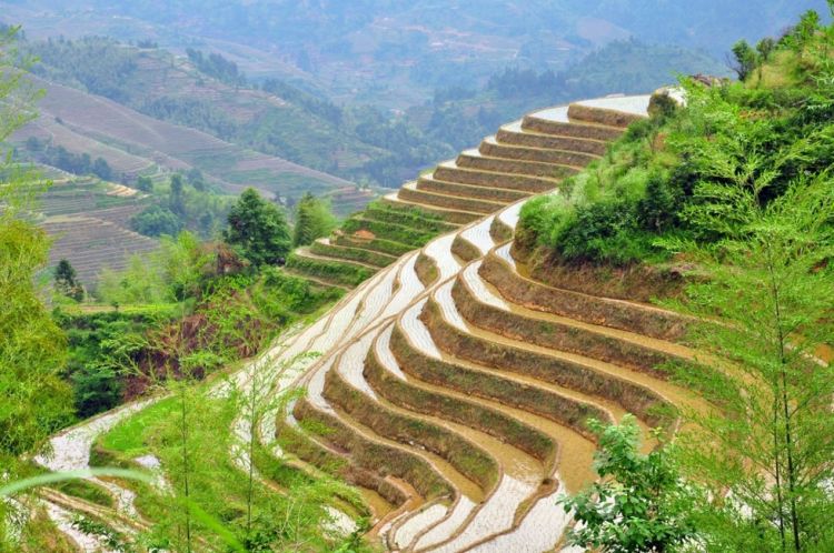 广西龙脊梯田风景图片