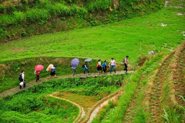 广西龙脊梯田风景图片