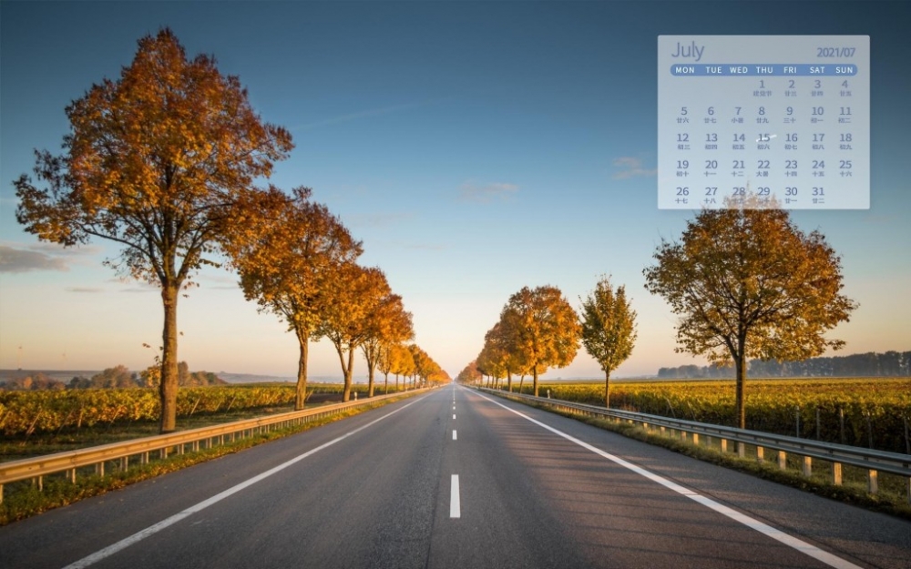 马路边的树唯美意境风景日历壁纸