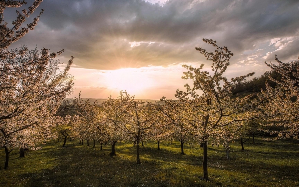 清晨日出高山唯美风景桌面壁纸图片
