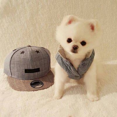 狗狗情侣头像一左一右个性 狗狗情侣头像一左一右高清头像