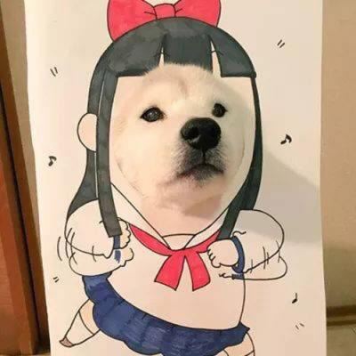 狗狗情侣头像一左一右个性 狗狗情侣头像一左一右高清头像