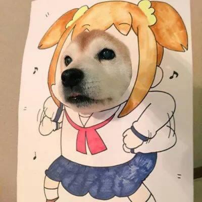 狗狗情侣头像一左一右个性 狗狗情侣头像一左一右高清头像