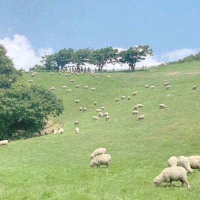 小清新头像 森系 女孩 qq女生头像小清新森系