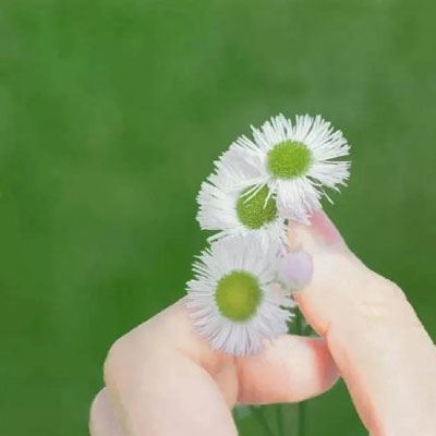 小清新头像 森系 女孩 qq女生头像小清新森系