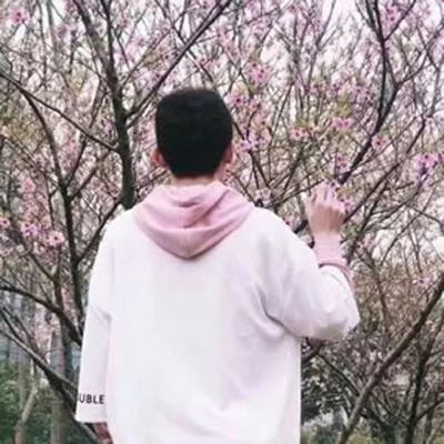 文艺森系情侣头像一个 情侣头像简约清新森系