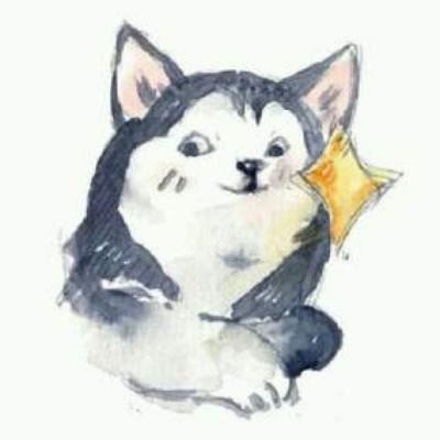 猫猫头像 情侣个性 一左一右 一猫一狗的情侣头像