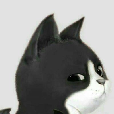 猫猫头像 情侣个性 一左一右 一猫一狗的情侣头像
