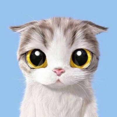 猫猫头像 情侣个性 一左一右 一猫一狗的情侣头像