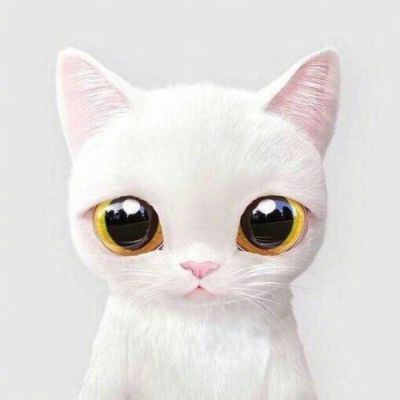 猫猫头像 情侣个性 一左一右 一猫一狗的情侣头像