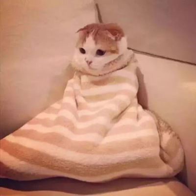 萌系情侣头像一左一右萌哒的情侣头像一对 宠物情侣头像一左一右