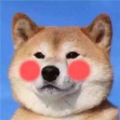 萌系情侣头像一左一右萌哒的情侣头像一对 宠物情侣头像一左一右