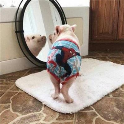 个性动物情侣头像一对两张 情侣头像动物一对两张 分开 唯美