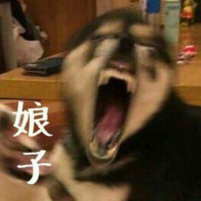 个性动物情侣头像一对两张 情侣头像动物一对两张 分开 唯美