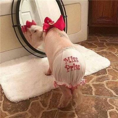 个性动物情侣头像一对两张 情侣头像动物一对两张 分开 唯美