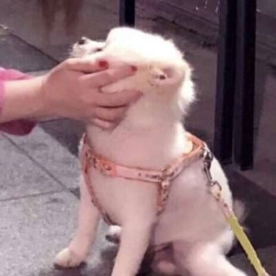 男朋友不是人系列情侣头像我要个性网 情头