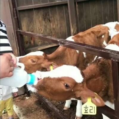男朋友不是人系列情侣头像我要个性网 情头